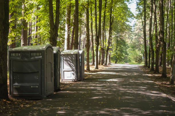 Best Affordable portable toilet rental  in Dewitt, AR
